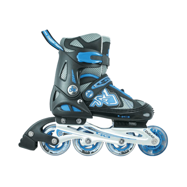 Roller_blades_4