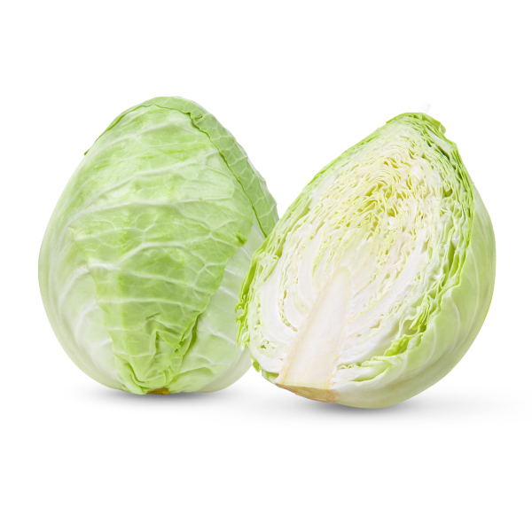Gourmet Organic Cabbage