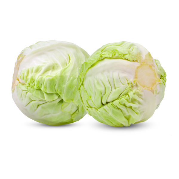 Cabbage_2