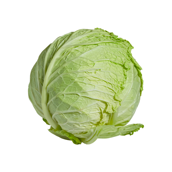 Cabbage_4
