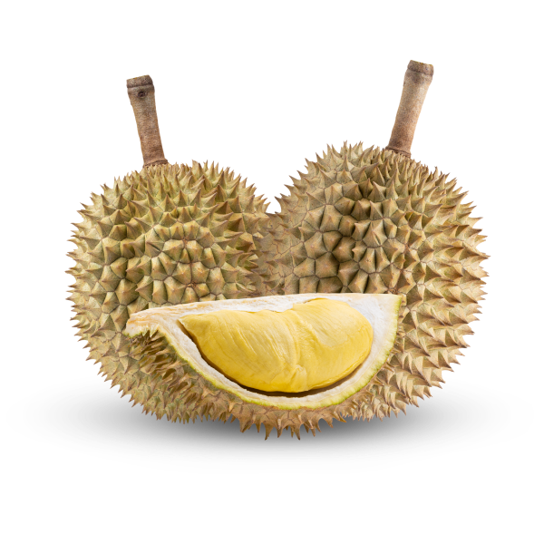 Durian_2