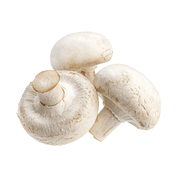 Mushroom_2