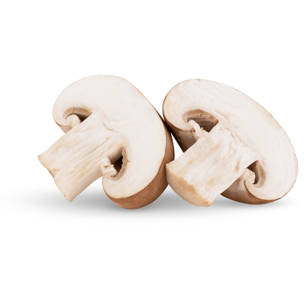 Mushroom_3