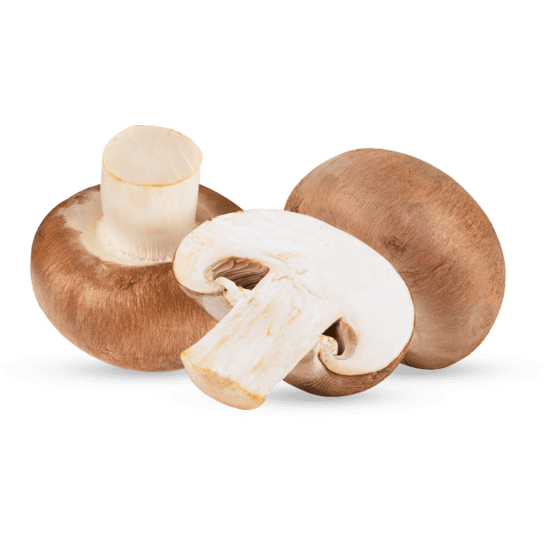 Farm-fresh Mushrooms