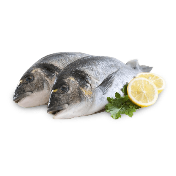 Premium Seafood