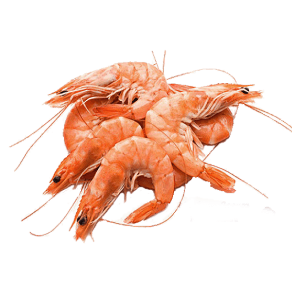 Sea_food_3