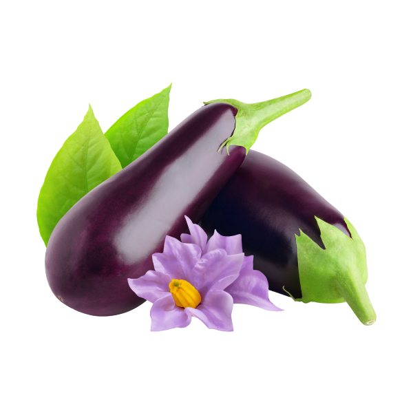 Eggplant_2