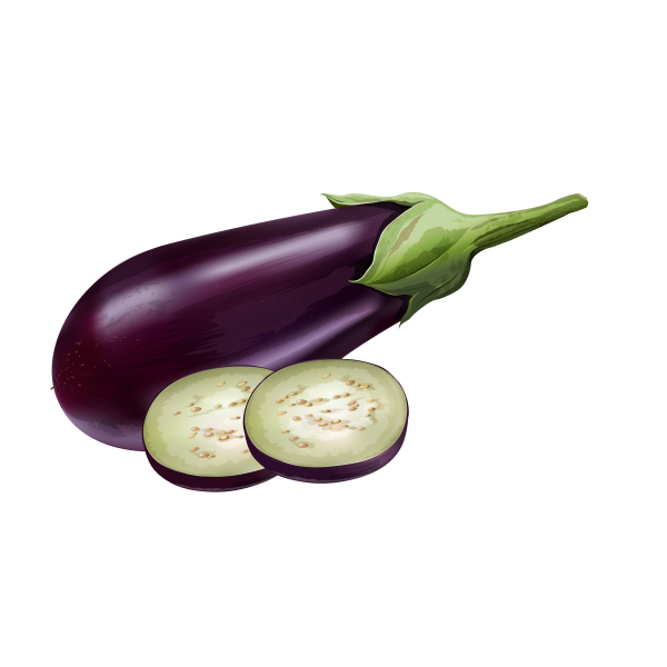Eggplant_3