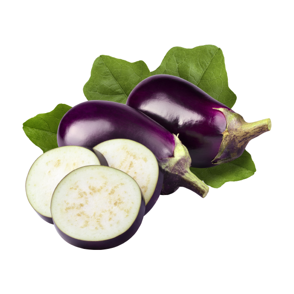 Eggplant_4