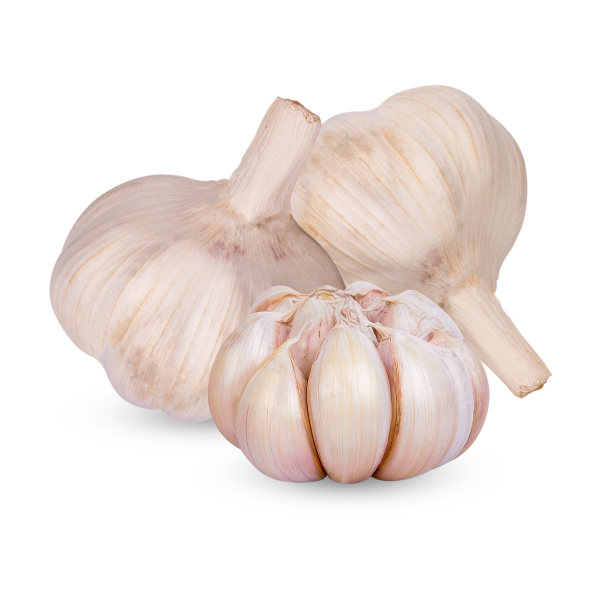 Garlic_1