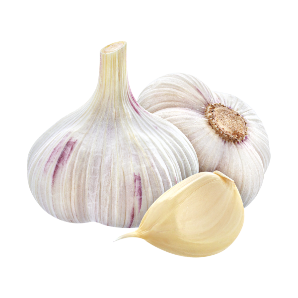 Garlic_2