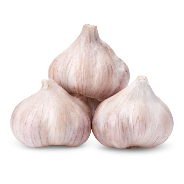Garlic_3