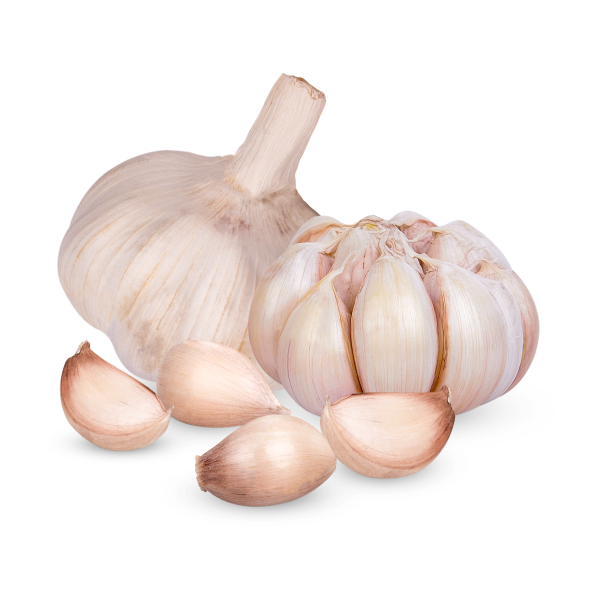 Garlic_4