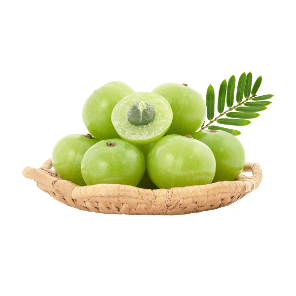 Superior Quality Amla