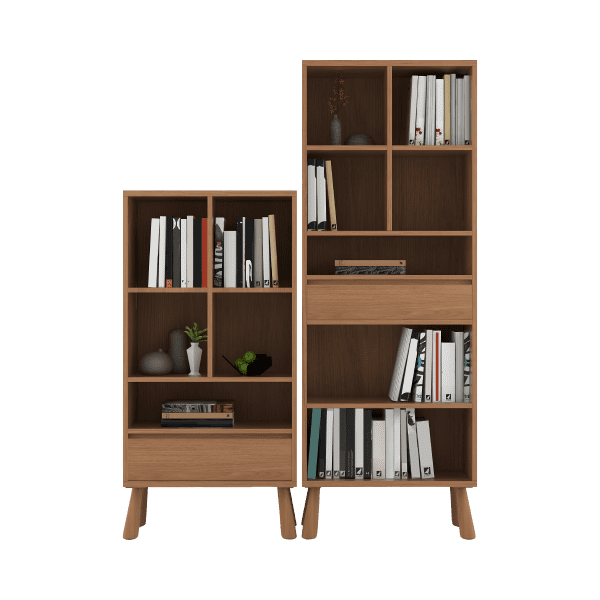 Bookshelves_1