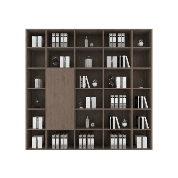 Bookshelves_3