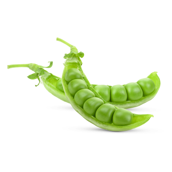 Pea_3