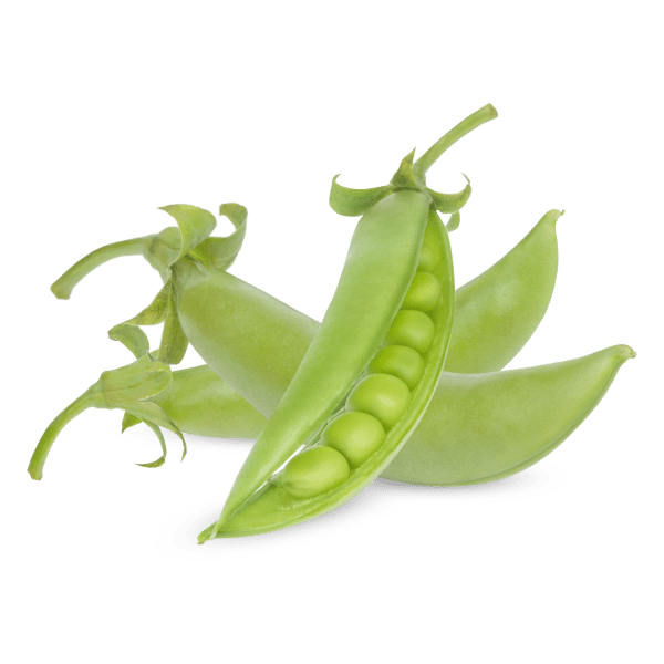Pea_4