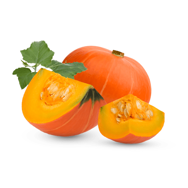 Pumpkin_1