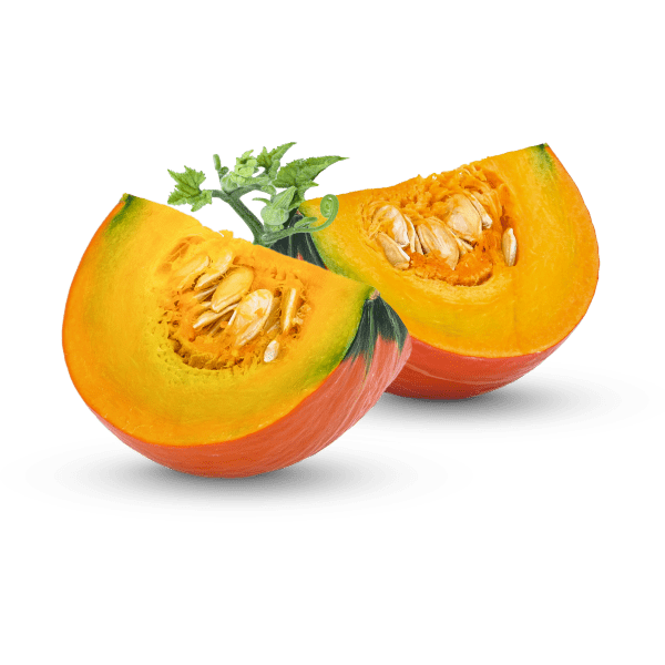Pumpkin_2