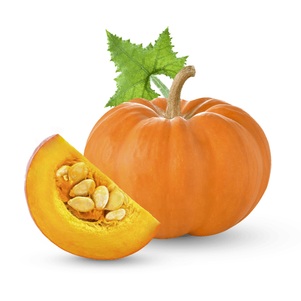 Pumpkin_4