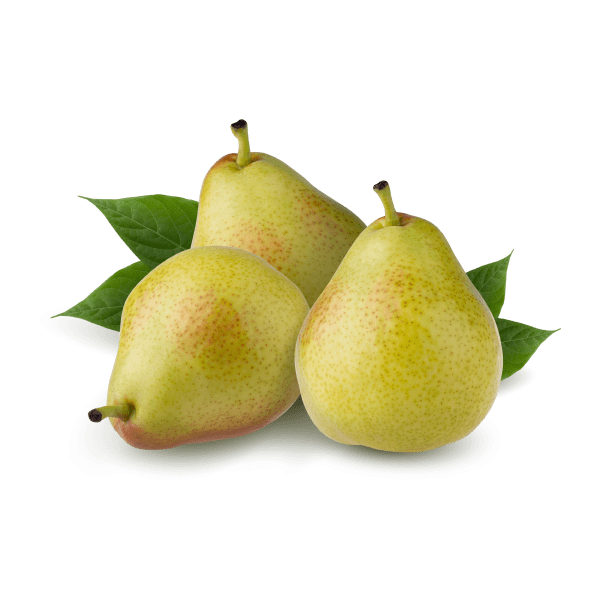 Pear_1