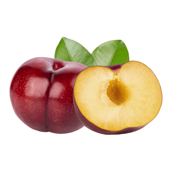 Pear_4-1