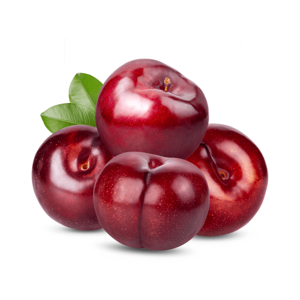 Plum_1