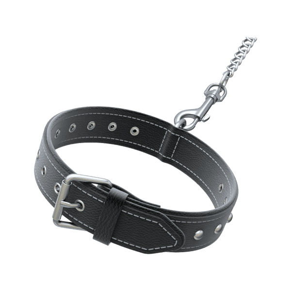 Belt_1
