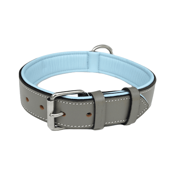 Pet Collar