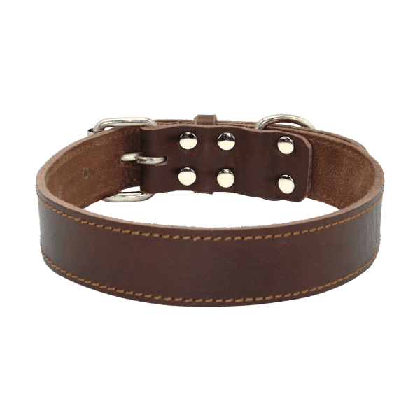 Belt_4