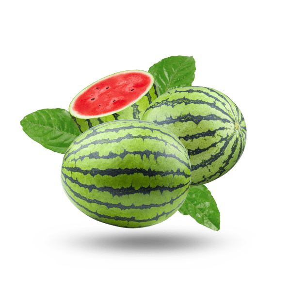 Watermelon_1